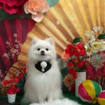 20260110_180425(1)_copy_2018x2688