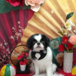 20260113_120831_copy_2066x2755