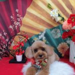 20260115_122546(1)~2_copy_1963x2618