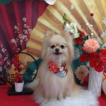 20260116_133640(1)_copy_2041x2720