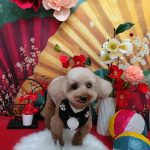 20260117_134314~2_copy_3000x4000