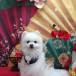 20260119_171039~2_copy_2032x2712