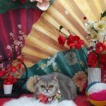 20260120_132002~2_copy_1993x2657