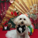 20260122_185549_copy_1970x2628