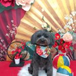 20260123_110609_copy_1844x2458