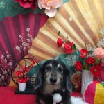 20260124_183351_copy_1990x2654