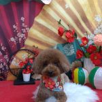 20260126_153503_copy_1924x2567