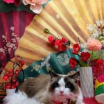 20260127_171448~2_copy_1844x2460