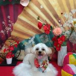 20260129_154922(1)_copy_1971x2628