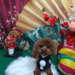 20260130_191106_copy_1972x2629