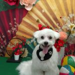 20260131_145650_copy_2058x2745