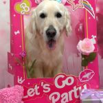 20260203_155826~2_copy_1444x1926_1