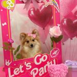 20260207_191058~2_copy_1716x2290