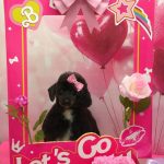 20260210_161524_copy_961x1281~2_copy_1852x2470