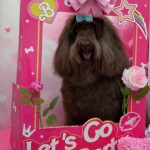 20260213_124551_copy_2360x3147~2_copy_2303x3071