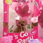 20260214_154706~2_copy_1788x2386