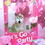 20260221_165701_copy_5178x6904