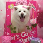 20260224_124348(1)_copy_822x1095~2_copy_1644x2190