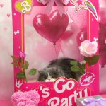 20260226_175524~2_copy_1940x2588