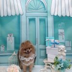 20260302_110244~2_copy_1852x2472