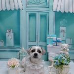 20260303_155616_copy_1952x2602