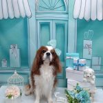 20260305_173951~2_copy_1942x2592