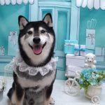 20260307_170007_copy_1852x2470