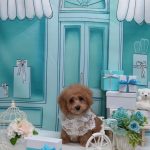 20260310_183124~2_copy_1988x2650