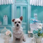 20260312_183721(1)_copy_2034x2712