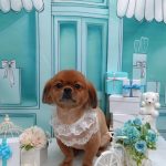 20260313_143614(1)~2_copy_1904x2538