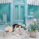 20260314_170030_copy_3000x4000