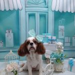 20260317_185120_copy_2002x2668