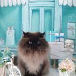 20260321_120108(1)_copy_2064x2752