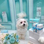 20260323_182236_copy_2160x2880