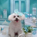 20260326_164911_copy_1868x2490