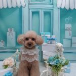 20260327_182625_copy_1850x2468