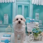 20260328_152345_copy_2026x2702