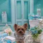 20260330_183521(1)_copy_2120x2827