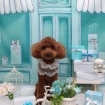 20260331_185425_copy_2093x2792