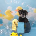 DSC_0002_BURST20260502133739675~2_copy_2504x3338