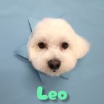 InShot_20260420_213738999_copy_2888x3850