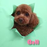 InShot_20260423_223858670_copy_3076x4096