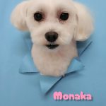 InShot_20260424_211540077~2_copy_2359x3143