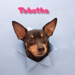 InShot_20260425_214523831_copy_3160x4096