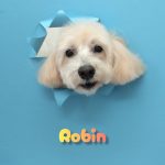 InShot_20260428_225510024_copy_2762x3683