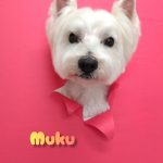 InShot_20260430_231919968_copy_2670x3560