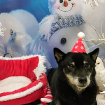 Screenshot_20251209-233541~2_copy_1002x1336